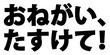 みなさんで【ちま吉】を育てて下さい！(終了しました)