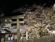 日吉榊奉迎祭が行われました