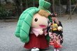 七五三のちま吉くん